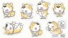 Corgi sticker