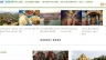 Thiết kế Website - diemdentamlinh.com