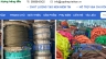 Website giới thiệu sản phẩm capthepviethan.vn