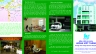 thiết kế brochure