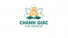 Thiết kế logo