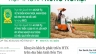 Thiết kế lập tr&igrave;nh ho&agrave;n thiện website Hợp T&aacute;c X&atilde; N&ocirc;ng Nghiệp