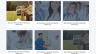 Thiết kế website tuyển dụng b&aacute;c sĩ