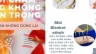 Thiết kế blog cho shop Phụ kiện t&oacute;c