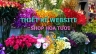 Thiết kế website shop hoa tươi