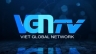 3D Logo VGN TV