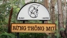 Recap Training - RỪNG TH&Ocirc;NG MƠ FARM & BISTRO