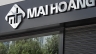 Logo Mai Ho&agrave;ng