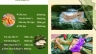 Thiết kế menu