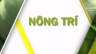 Dựng Video ph&oacute;ng sự truyền h&igrave;nh