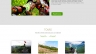 Layout Web CBT