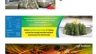 banner web