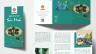 Thiết kế brochure