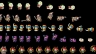 concep art & animation ( frame by frame)