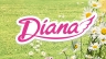 Quản l&yacute; fanpage của nh&atilde;n h&agrave;ng Diana