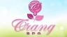 Thiết kế logo Trang Spa