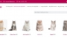Thiết kế website cửa h&agrave;ng Trao đổi v&agrave; chăm s&oacute;c sức khỏe Ch&oacute; M&egrave;o
