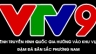 Thiết kế website VTV9.COM.VN