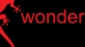 Nhập dữ liệu v&agrave; edit nội dung website Wonder
