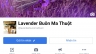 Fanpage b&aacute;n hoa Lavender Tại Bu&ocirc;n Ma Thuột