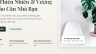 Website giới thiệu v&agrave; danh mục c&acirc;y cảnh Mộc Nhi&ecirc;n Garden