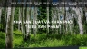 C&ocirc;ng ty nature