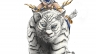 Character Illustration