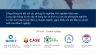 thiết kế web Labnet