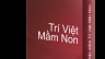 PHẦN MỀM TR&Iacute; VIỆT MẦM NON