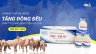 Thiết kế ảnh giới thiệu sản phẩm