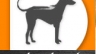 Seo cho website chophuquochanoi.vn