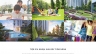 Thiết kế website Hausnima