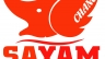 Thiết kế Website Sayam Chang