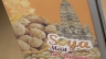 Brochure đậu n&agrave;nh soya