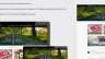 WEBSITE SAVVYCOM