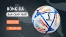 Thiết kế Infographic Thể thao: B&oacute;ng Đ&aacute; World Cup