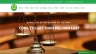 Website Luật
