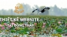 Thiết kế website tại Đồng Th&aacute;p