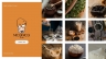 Thiết kế logo NICONICO TEA BAR