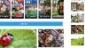X&acirc;y dựng website mạng x&atilde; hội review XUNAUTRIP.COM