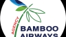 Bamboo Airway
