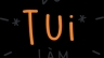 Dự &aacute;n website Do Tui L&agrave;m