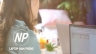 DISCOVERY Laptop Nam Phong