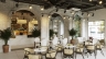 SPC Elegant Caf&eacute;