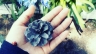 Viết Blog