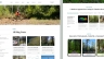 Thiết kế giao diện website
