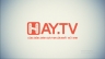 Logo h&igrave;nh hiệu cho HAY.TV
