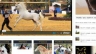 Egypthorse