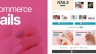Lexor ecommerce website