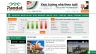 Website bất động sản
